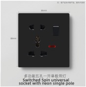 Switched 5 Pin Universal Socket with Neon